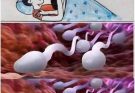 ❤️❤️Studies reveal that swallowing your partner’s semen… See more 👇